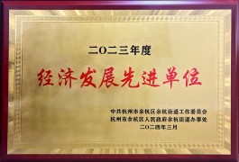 城西德奥荣获“2023年度经济发展先进单位”荣誉称号