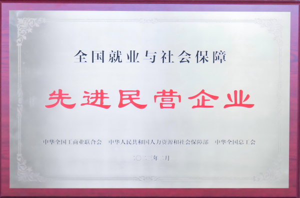 2023年被授予“全国就业与社会保障先进民营企业”称号